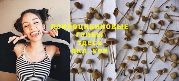 крисы Балабаново