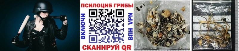 как найти закладки  OMG как зайти  Галлюциногенные грибы MAGIC MUSHROOMS  Дыгулыбгей 